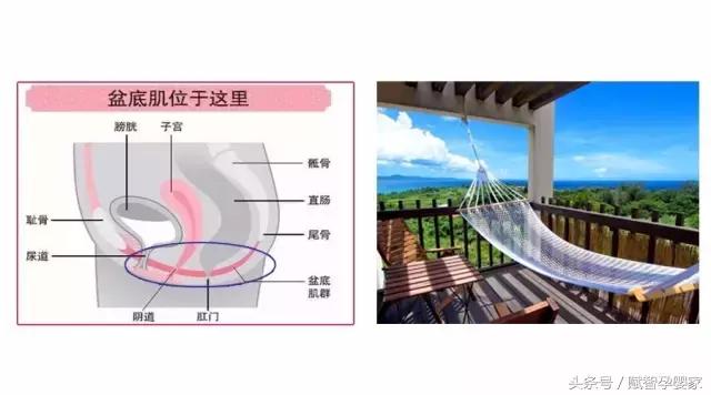 怀孕后期压力很大后悔了怎么办,怀孕后必知的8个真相