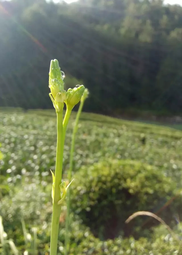 <html>
<head><title>502BadGateway</title></head>
<body>
<center><h1>502BadGateway</h1></center>
<hr><center>nginx</center>
</body>
</html>
<!--apaddingtodisableMSIEandChromefriendlyerrorpage-->
<!--apaddingtodisableMSIEandChromefriendlyerrorpage-->
<!--apaddingtodisableMSIEandChromefriendlyerrorpage-->
<!--apaddingtodisableMSIEandChromefriendlyerrorpage-->
<!--apaddingtodisableMSIEandChromefriendlyerrorpage-->
<!--apaddingtodisableMSIEandChromefriendlyerrorpage-->
