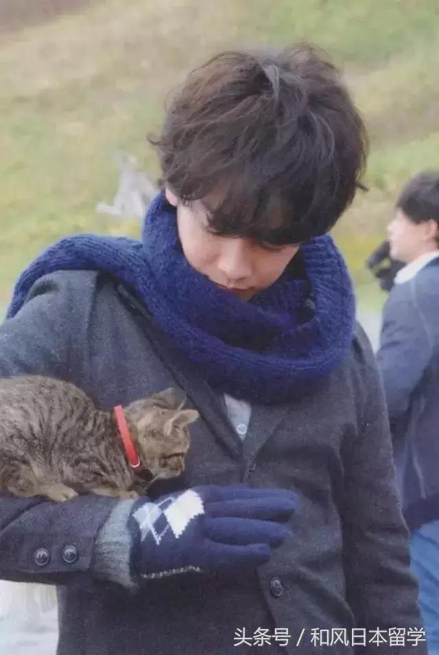 佐藤健17岁到现在的变化,佐藤健有哪几个奖项