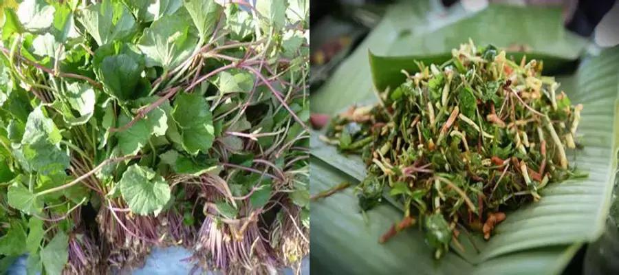 泼水节云南德宏游客视角,德宏泼水节孔雀舞申报吉尼斯纪录