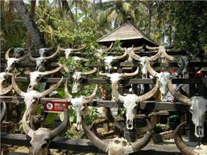 三亚适合同学去的地方 (高中毕业之旅三亚)