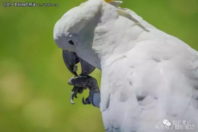 索尼a9拍摄剧照,我与索尼相机近20年的情缘