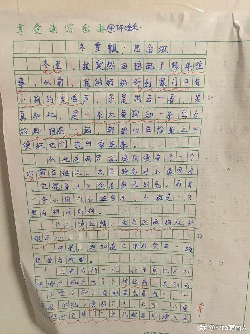 中国熊孩子写作文,熊孩子写作文套路