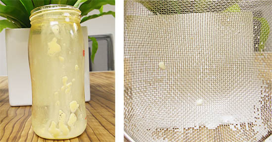 金星妈妈咪呀当场发飙,金星妈妈咪呀节目视频大全