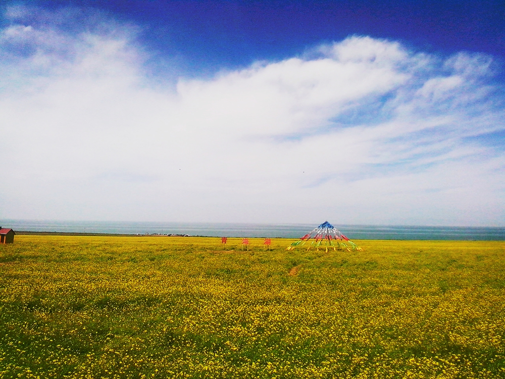 让x（叉）d（得）s（爽）带我飞简评喜德盛传奇700