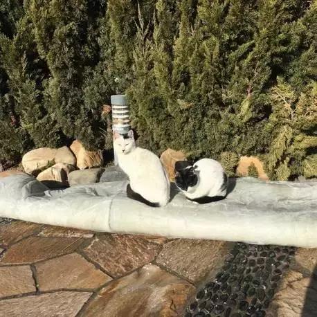 一起泡温泉的奢侈的享受,夏日一起泡温泉