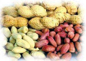 缺一不可!泉州特产大全,快收藏吧!