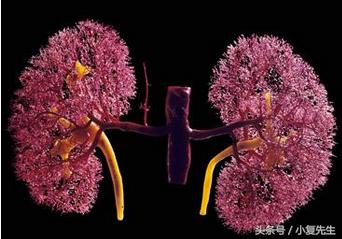 慢性肾衰竭尿素氮高了怎么办,肾衰尿素肌酐尿酸都高怎么办