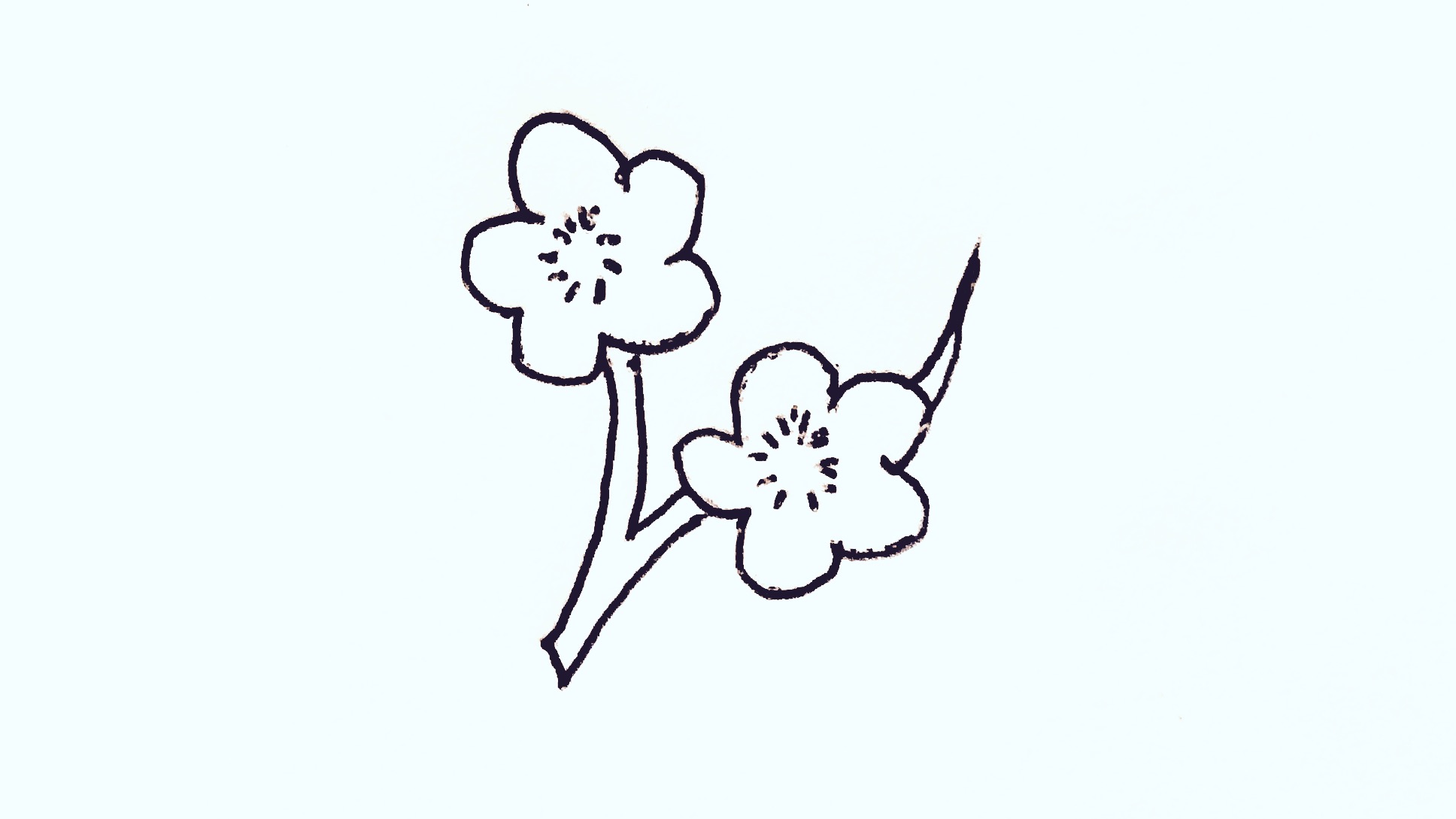 梅花13简笔画简单又漂亮迷你版,梅花画法简笔画