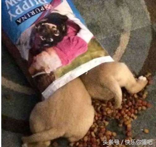 右手拇指指甲处断了一截,中指指甲突然断了意味着什么