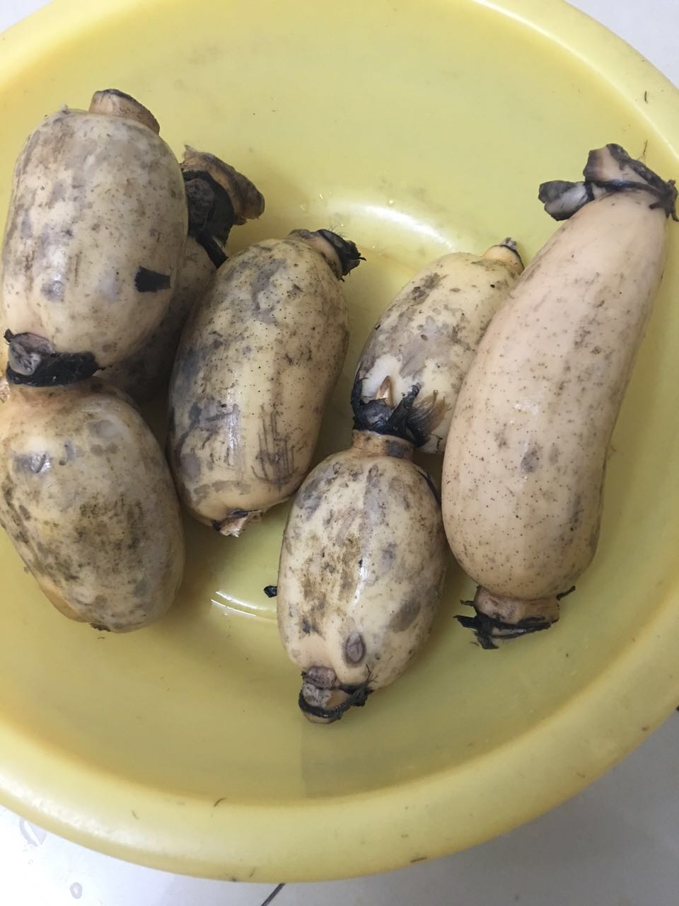 排骨汤入味的正确方法,如何炖排骨汤才能肉烂骨酥