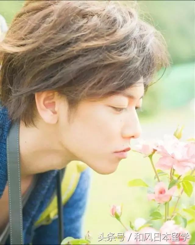 佐藤健在日本女性心中的地位,佐藤健颜值巅峰图片