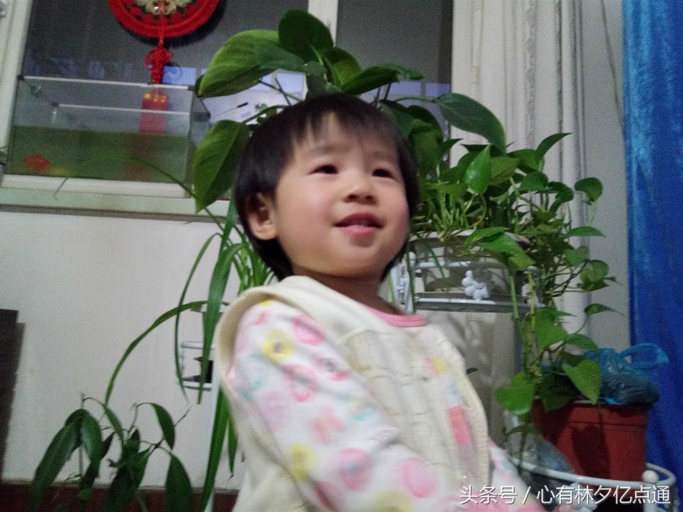 1600万全景摄像头,1600万前置摄像头好用吗