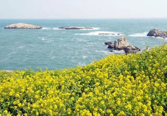 舟山清新海岛旅游攻略,舟山小众海岛游