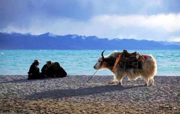 郑州到拉萨10天旅游攻略及花费,郑州到拉萨的沿途城市