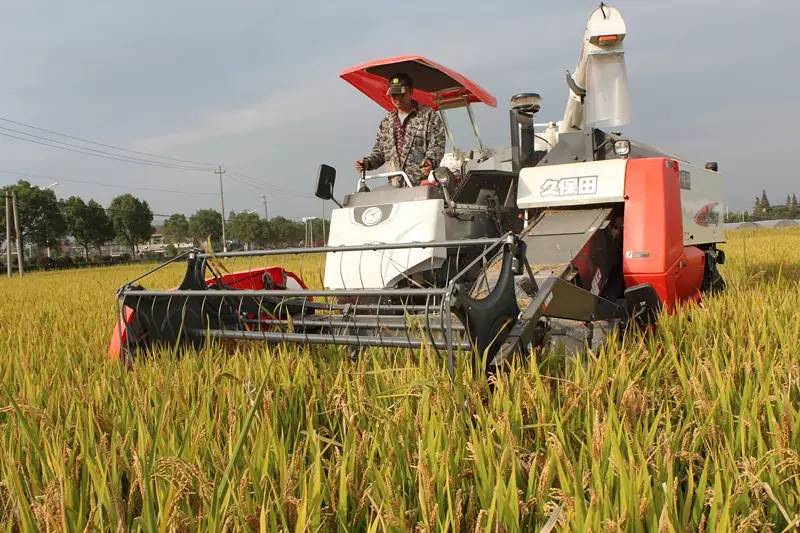 2023年宁波市优秀企业家名单,宁波市百强企业表彰