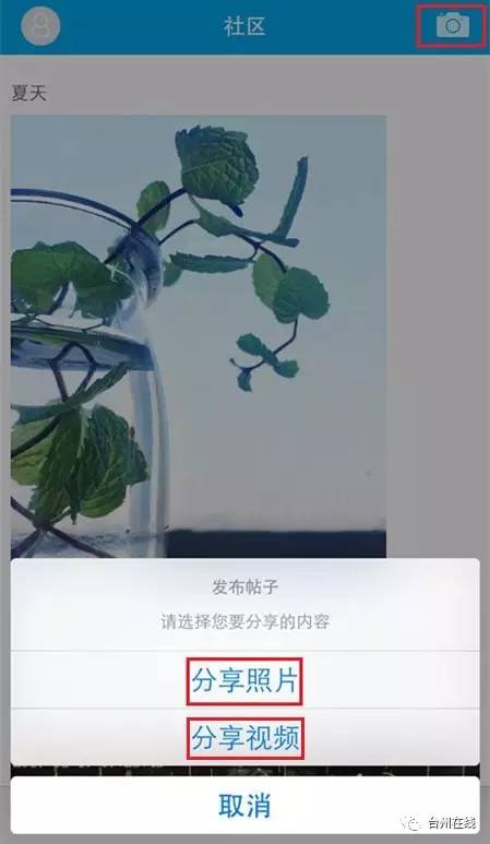 只是随手拍张照！他们每人都得到百元红包，你也可以！