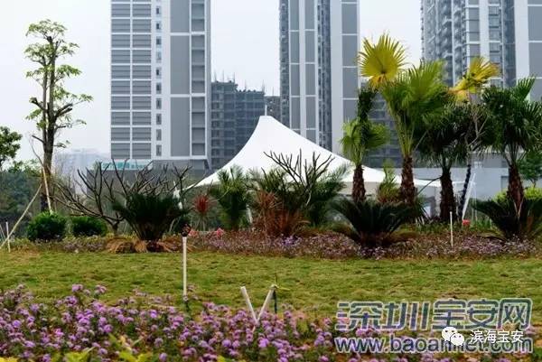 实现公园之区“小目标”，新桥书香公园开园迎客