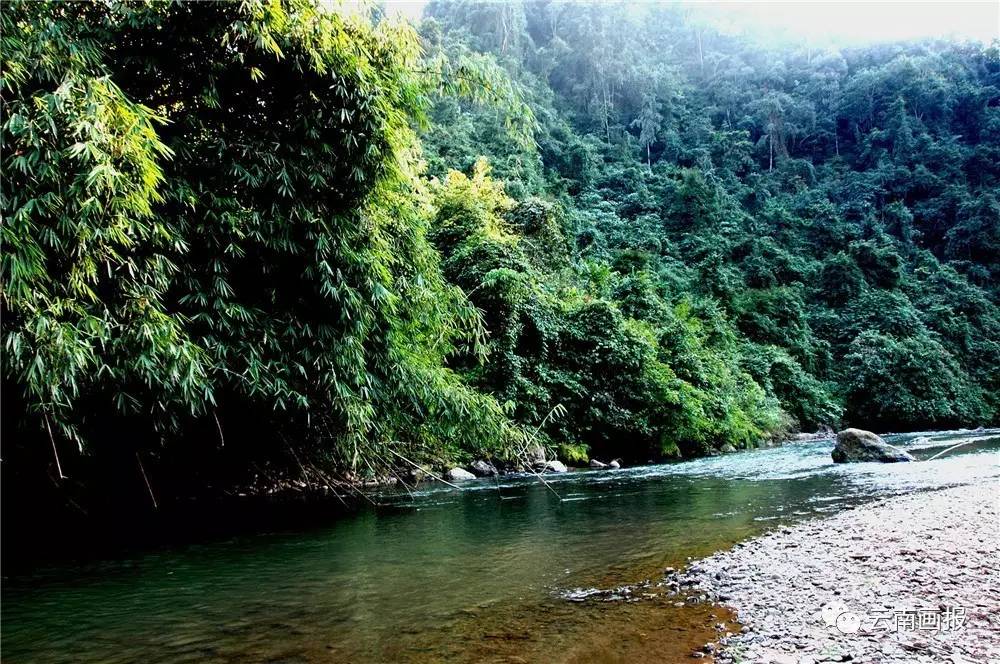 云南省什么地方风景区最好,云南生态环境最好的地方