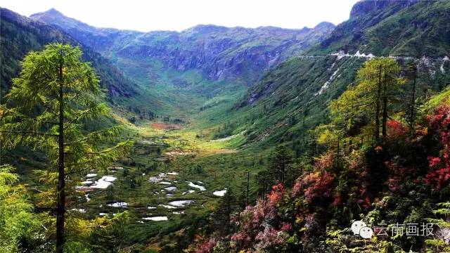 云南省什么地方风景区最好,云南生态环境最好的地方