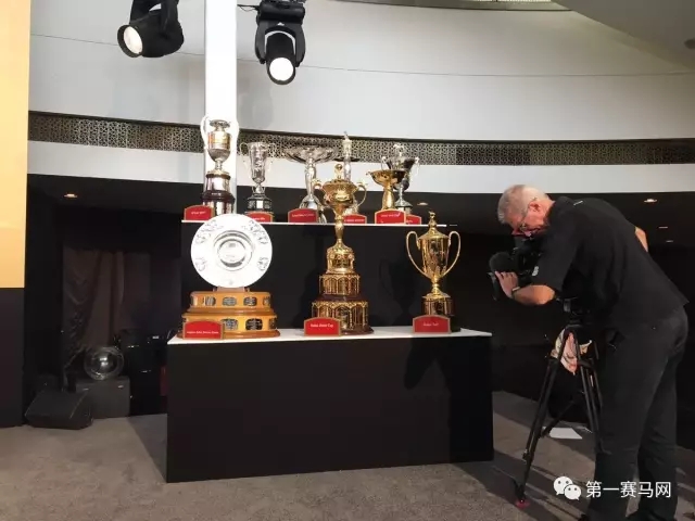 2024迪拜赛马世界杯新纪录,迪拜赛马世界杯黑马