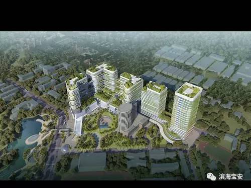 厉害了，今后宝安人民又多了一项傲娇的资本……