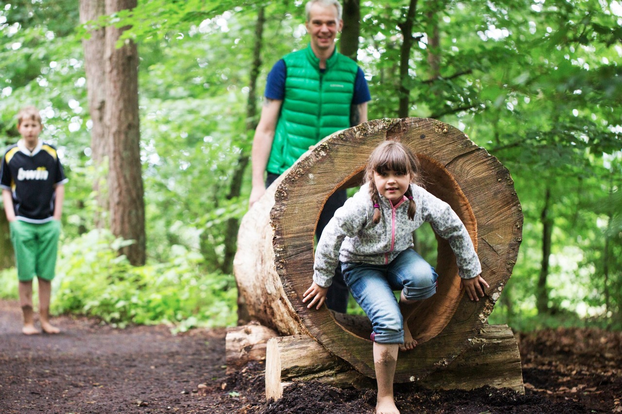 绿穹之下，感受德国中部的另一种美