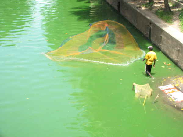 斯里兰卡旅游攻略,斯里兰卡旅游攻略是什么