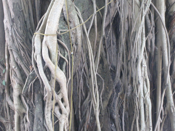 斯里兰卡“人文旅游”攻略综述