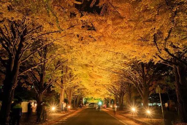 别去韩国了，去了天津，就等于去了全世界，不信你看！