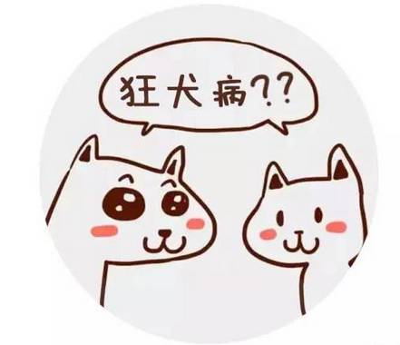 老鼠咬兔子需要打狂犬疫苗吗,被鼠兔咬伤要打狂犬疫苗吗