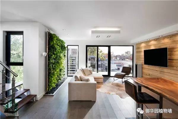 禅意风植物墙,特色植物墙