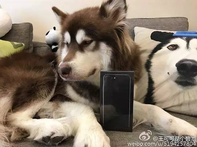 为什么红色的iphone便宜,红色iphone13mini