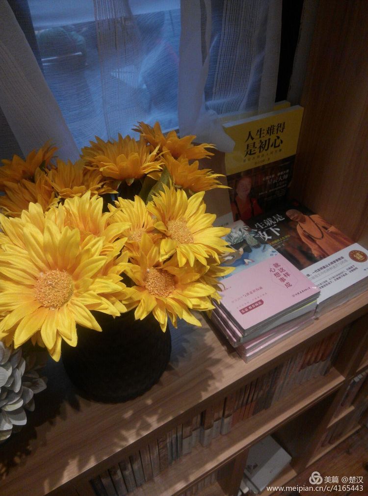 城南旧事文章大意第一章,城南旧事内容简介与读后感