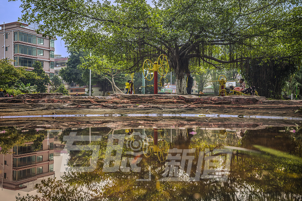 小家碧玉初长成的意思,小家碧玉初长成诗句