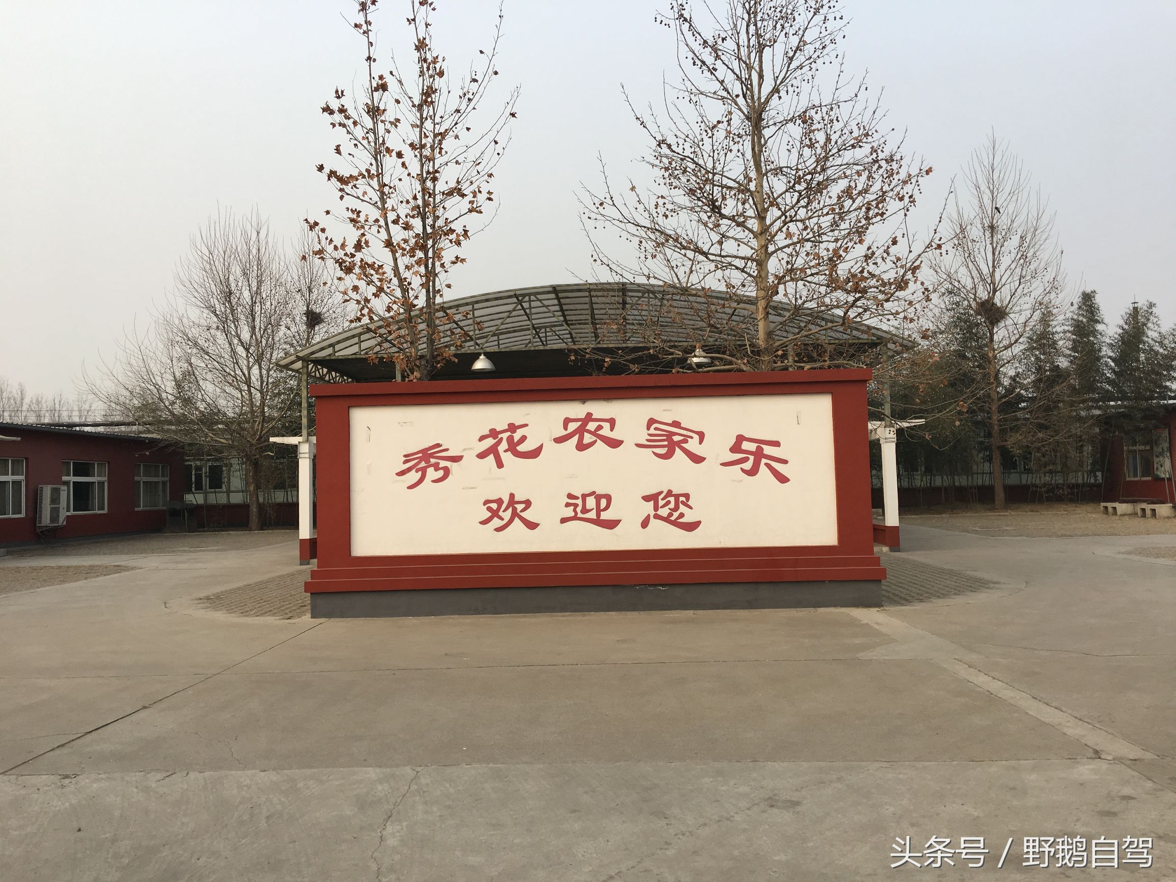 周边采摘游自驾游一日游,周边游自驾游一日游露营钓鱼