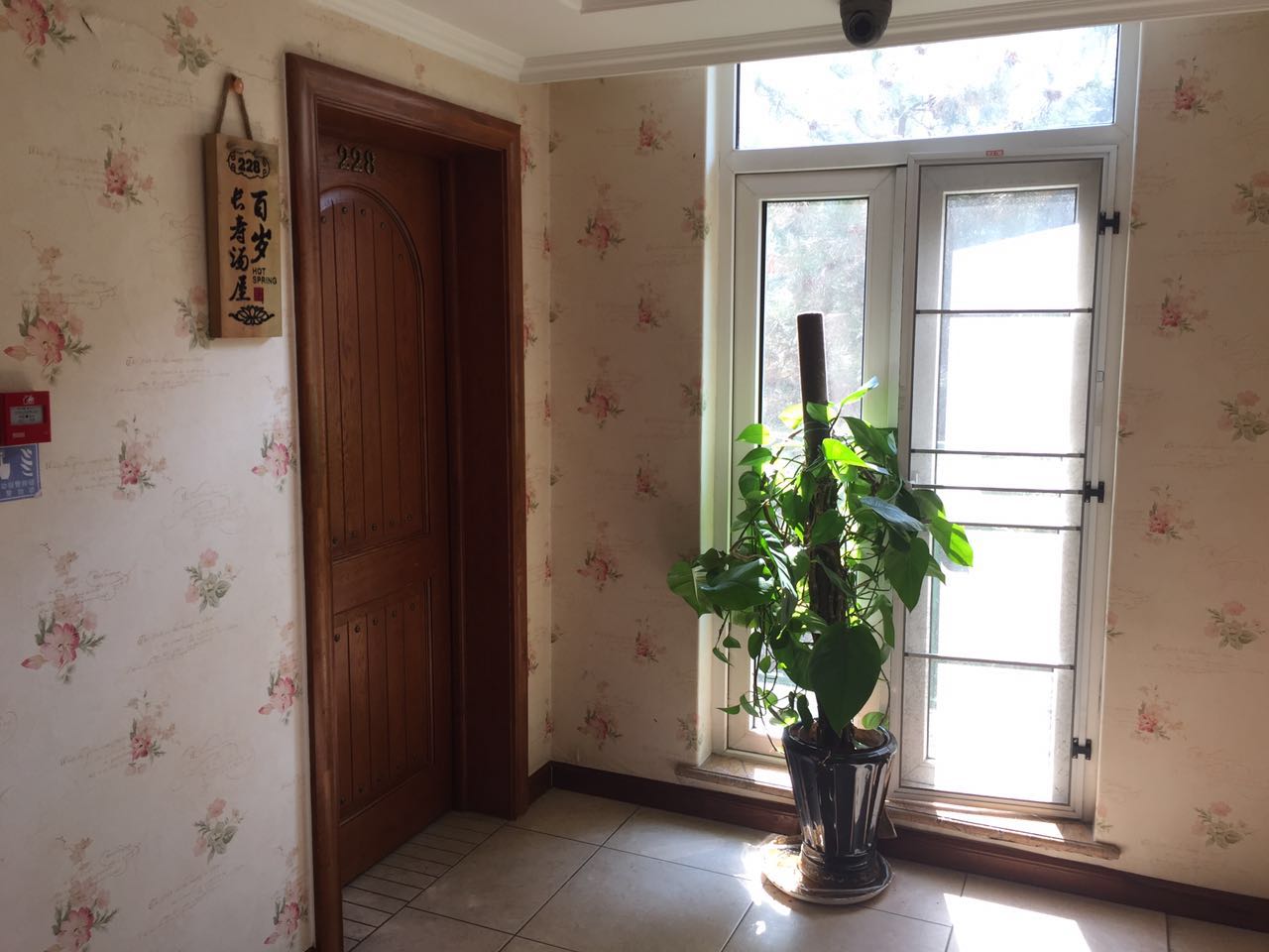 驴小妹的全部视频,驴小妹的奇妙旅行