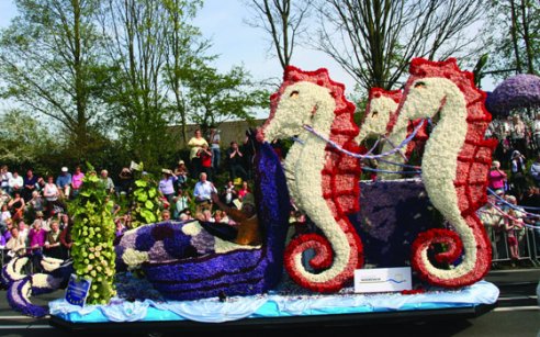 8个荷兰传统标志,第8个只有1%的领队才知道!