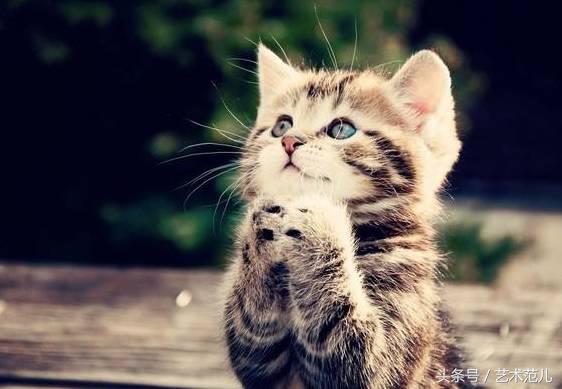 国足赢了教练反应,国足赢了教练的反应