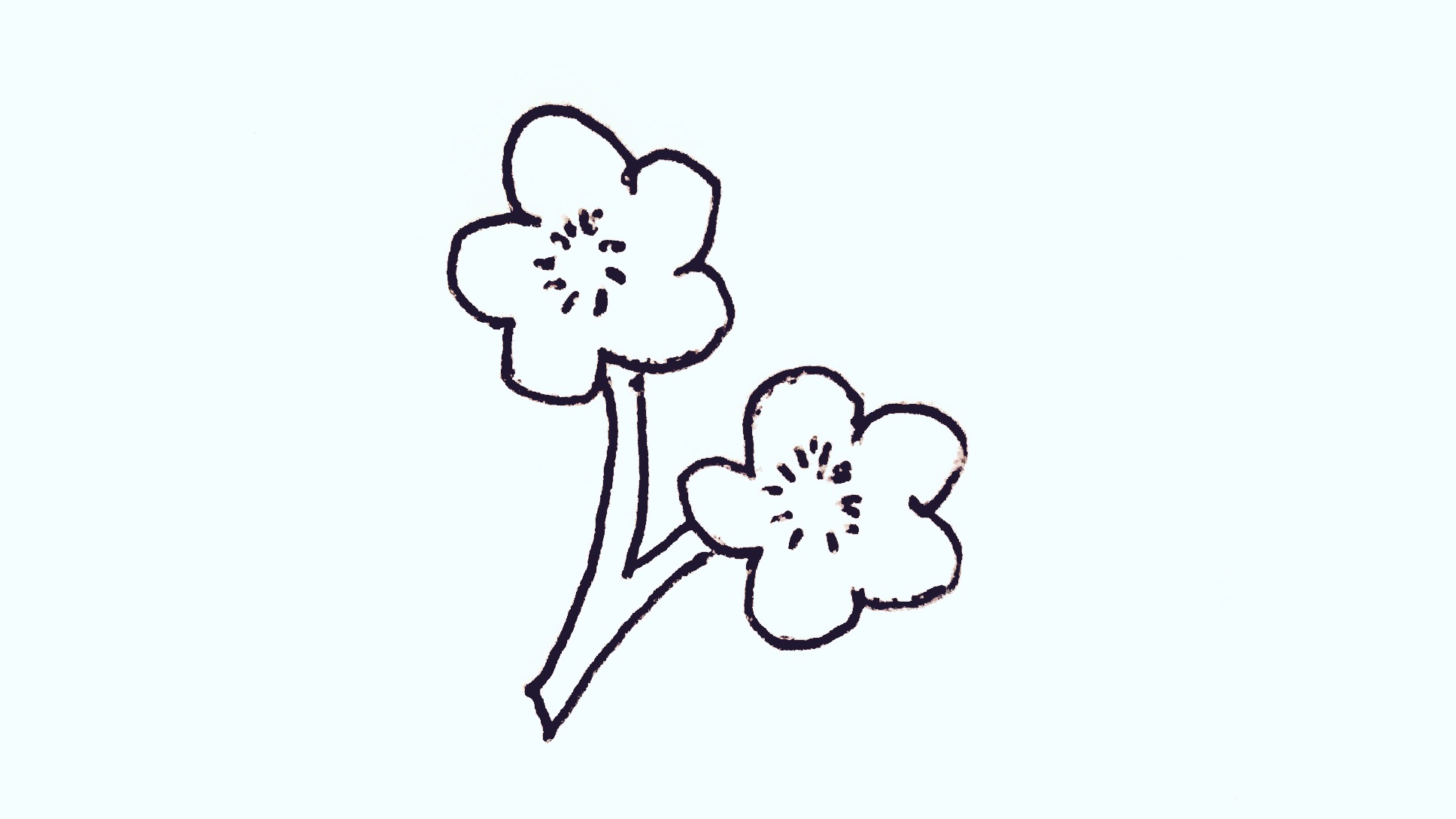 梅花13简笔画简单又漂亮迷你版,梅花画法简笔画