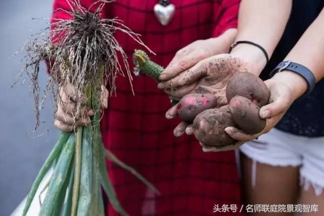日本最美最好的民宿,不出国也能体验日本民宿风情