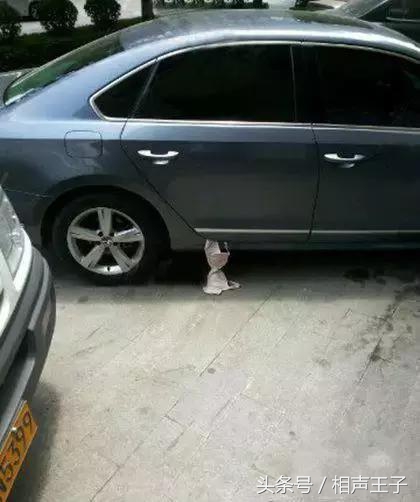 姑娘,别再抬脚了,整个车厢都弥漫着你臭袜子的味道