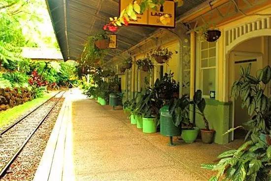 刘强东与奶茶妹妹的婚礼举办地大堡礁到底有多美？自己去看！