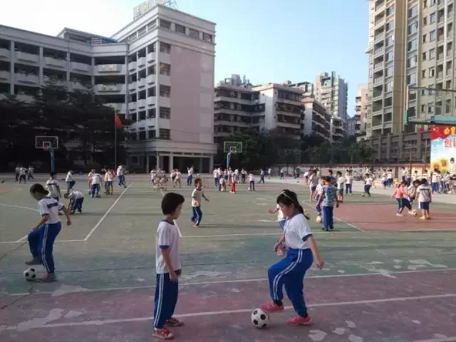 广东足球学校有哪几所,肇庆有国家重点学校吗