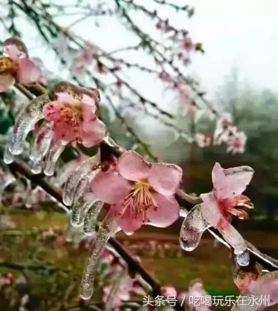 好看的美景推荐第一名,美丽的阳明山处处是美景
