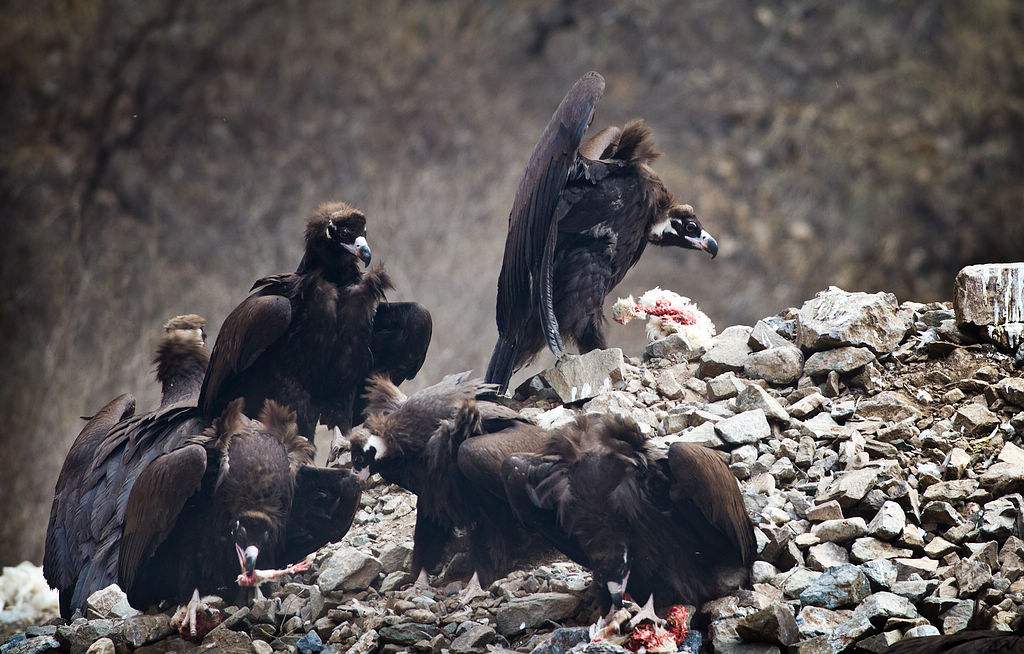 惊魂末班车小说,旅游大巴遇险小说