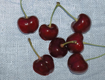 甜樱桃可持续发展的措施,美国加州樱桃