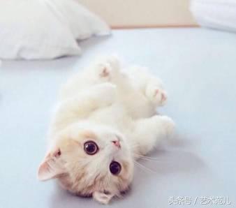 国足赢了教练反应,国足赢了教练的反应