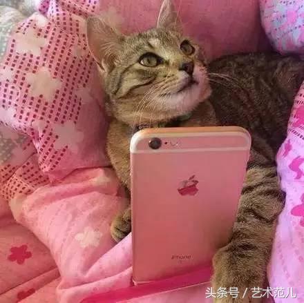 国足赢了教练反应,国足赢了教练的反应