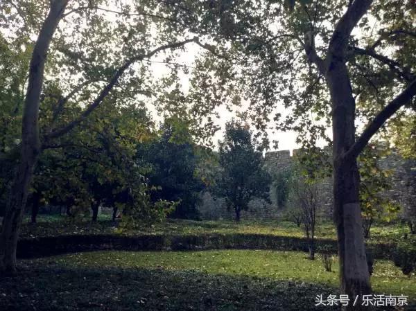 南京莫愁湖公园免费,南京免费公园免费开放日一览表